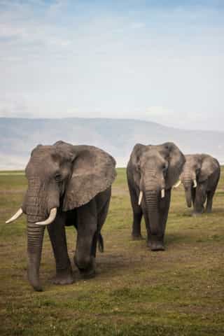 Tanzania travel image