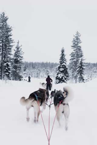 Finland travel image